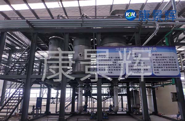 多效降膜蒸發(fā)器可以用來濃縮處理廢水，特別適合處理牛奶、淀粉、葡萄糖等食品廠廢水的加工處理中